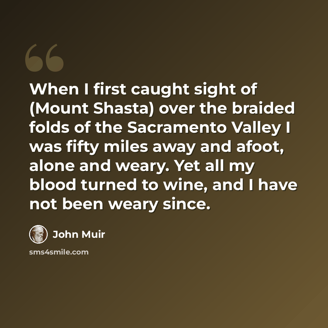 “When I first caught sight of (Mount Shasta) over the braided folds of the Sacramento Valley I was fifty miles away and afoot, alone and weary. Yet all my blood turned to wine, and I have not been weary since.” quote by John Muir