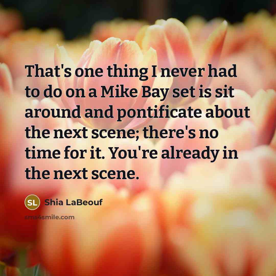 “That's one thing I never had to do on a Mike Bay set is sit around and pontificate about the next scene; there's no time for it. You're already in the next scene.” quote by Shia LaBeouf