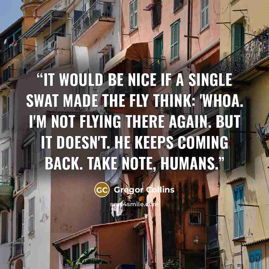 “It would be nice if a single swat made the fly think: 'Whoa. I'm not flying THERE again. But it doesn't. He keeps coming back. Take note, Humans.” quote by Gregor Collins