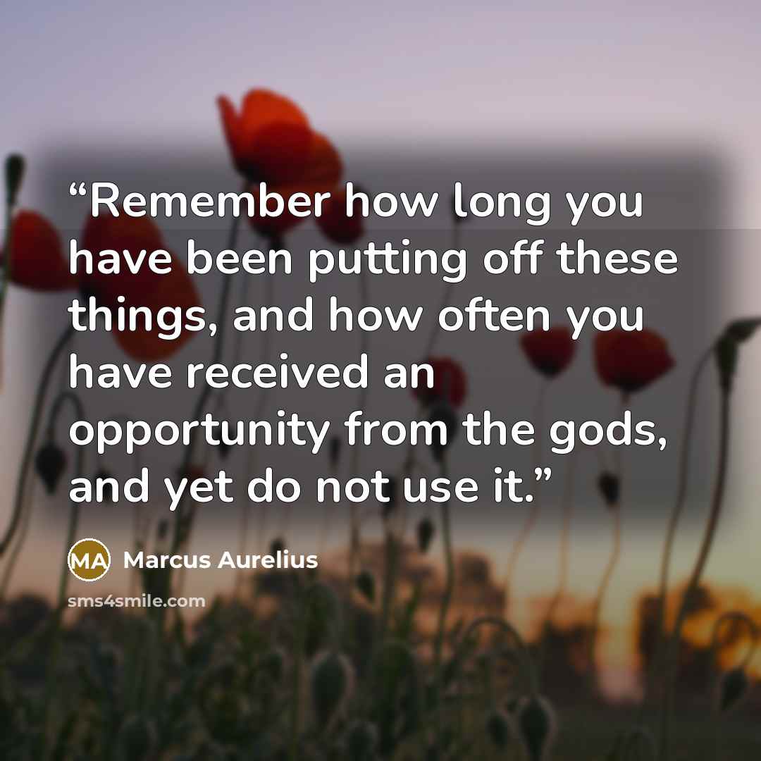 “Remember how long you have been putting off these things, and how often you have received an opportunity from the gods, and yet do not use it.” quote by Marcus Aurelius