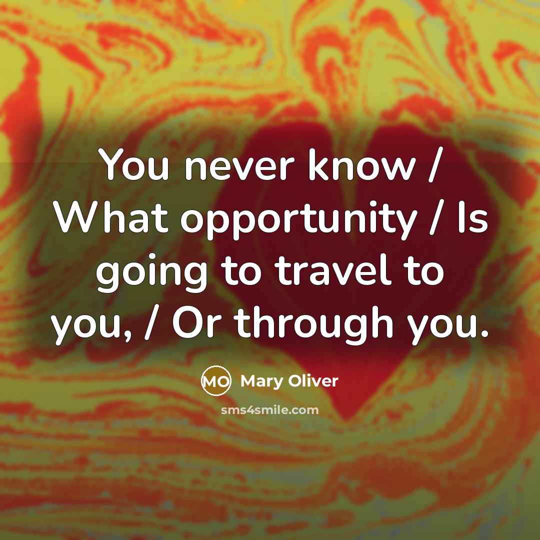 “You never know / What opportunity / Is going to travel to you, / Or through you.” quote by Mary Oliver