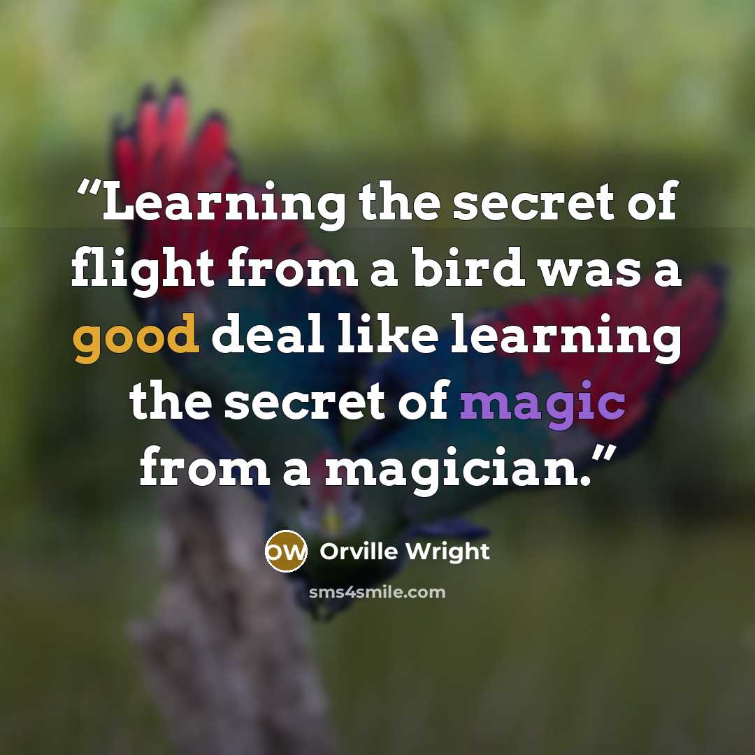 “Learning the secret of flight from a bird was a good deal like learning the secret of magic from a magician.” quote by Orville Wright