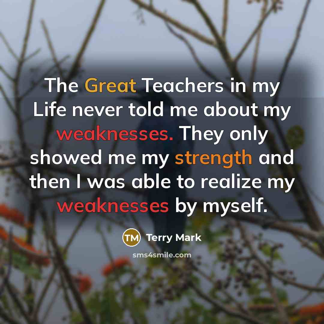 “The Great Teachers in my Life never told me about my weaknesses. They only showed me my strength and then I was able to realize my weaknesses by myself.” quote by Terry Mark