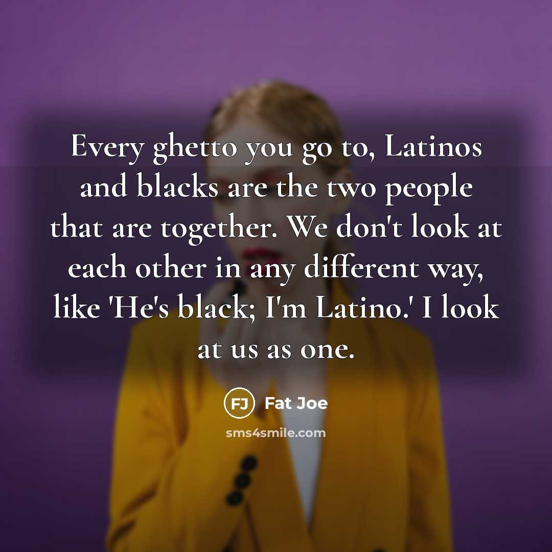 “Every ghetto you go to, Latinos and blacks are the two people that are together. We don't look at each other in any different way, like 'He's black; I'm Latino.' I look at us as one.” quote by Fat Joe