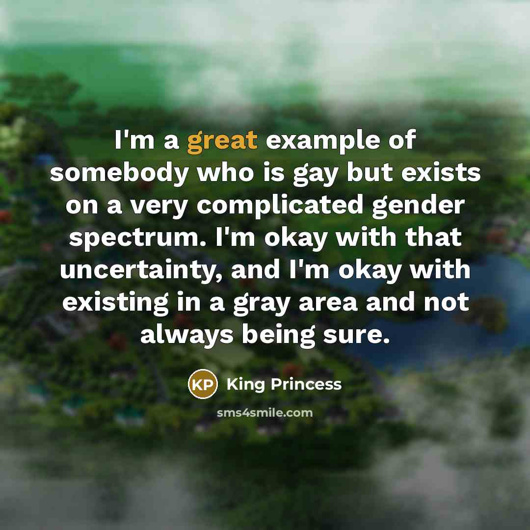 “I'm a great example of somebody who is gay but exists on a very complicated gender spectrum. I'm okay with that uncertainty, and I'm okay with existing in a gray area and not always being sure.” quote by King Princess