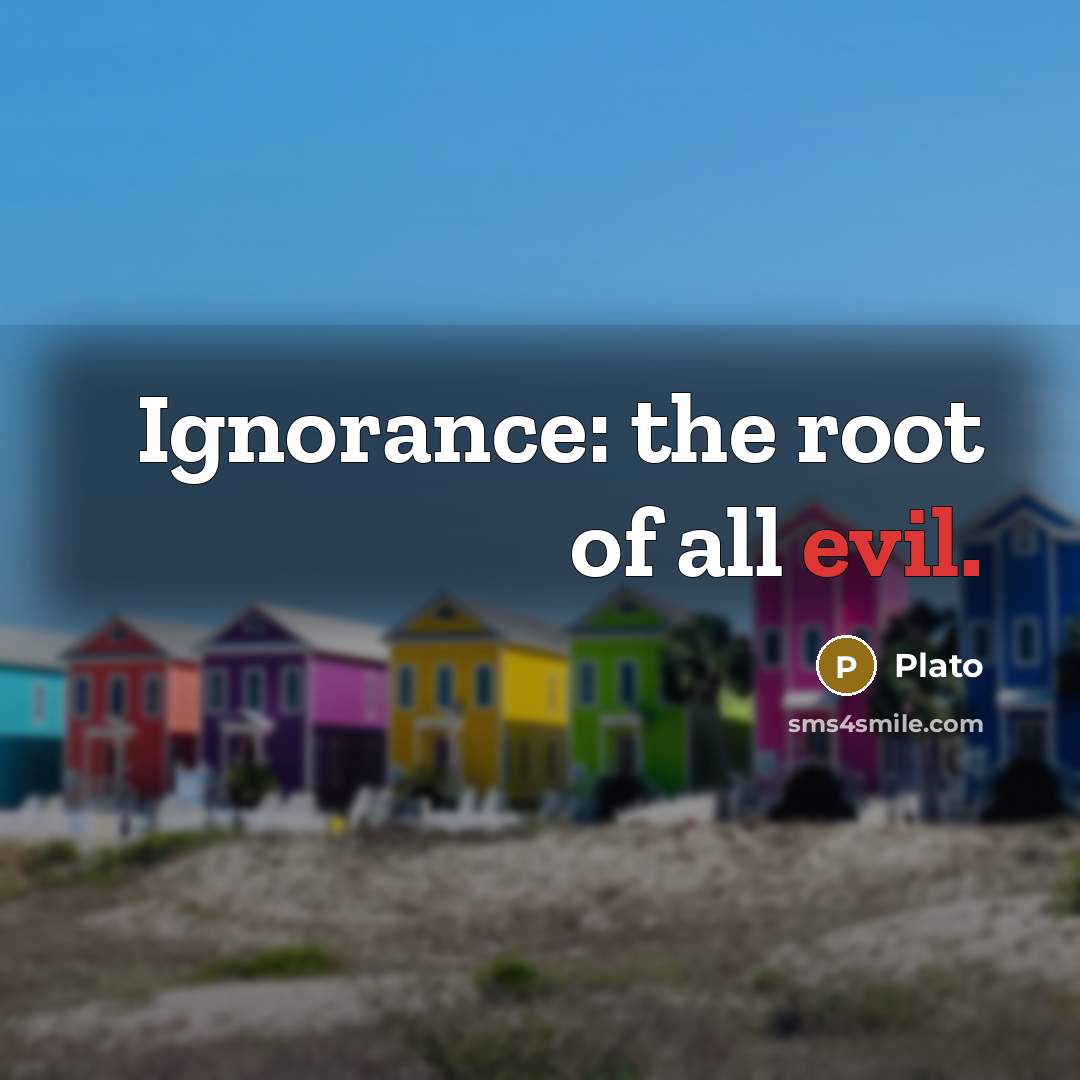 “Ignorance: the root of all evil.” quote by Plato