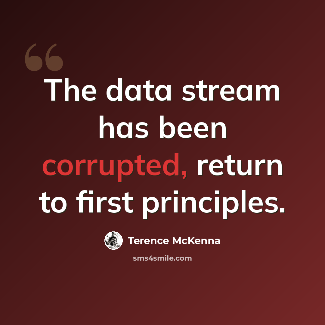 “The data stream has been corrupted, return to first principles.” quote by Terence McKenna