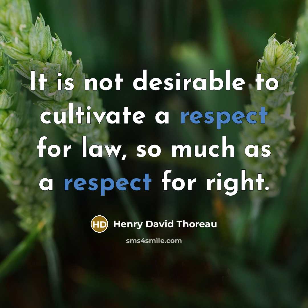 “It is not desirable to cultivate a respect for law, so much as a respect for right.” quote by Henry David Thoreau