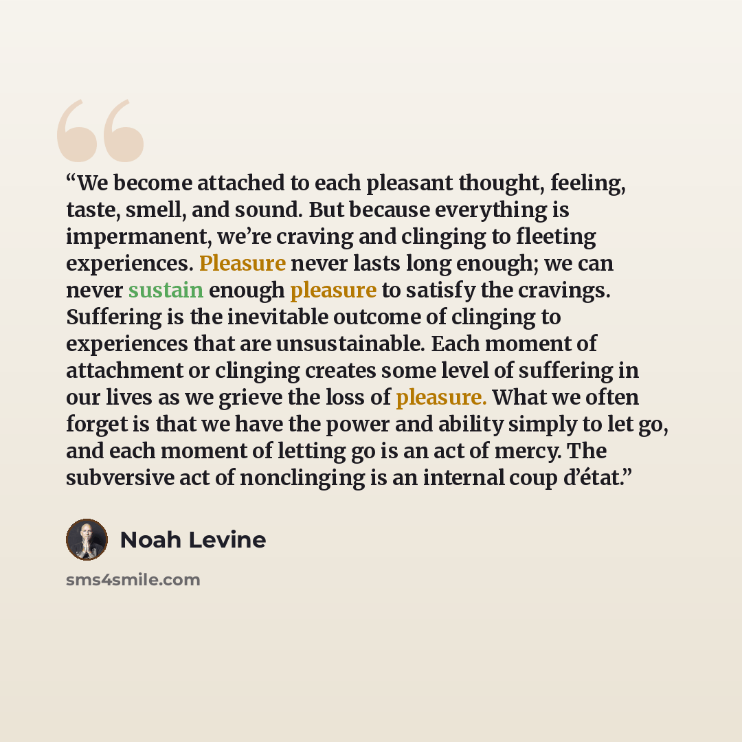 “We become attached to each pleasant thought, feeling, taste, smell, and sound. But because everything is impermanent, we’re craving and clinging to fleeting experiences. Pleasure never lasts long enough; we can never sustain enough pleasure to satisfy the cravings. Suffering is the inevitable…” quote by Noah Levine