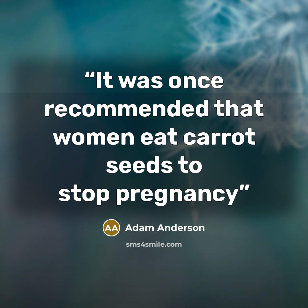 “It was once recommended that women eat carrot seeds to stop pregnancy” quote by Adam Anderson