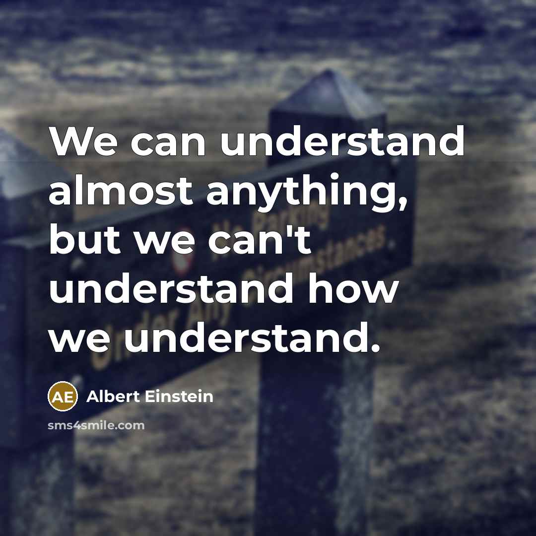 “We can understand almost anything, but we can't understand how we understand.” quote by Albert Einstein