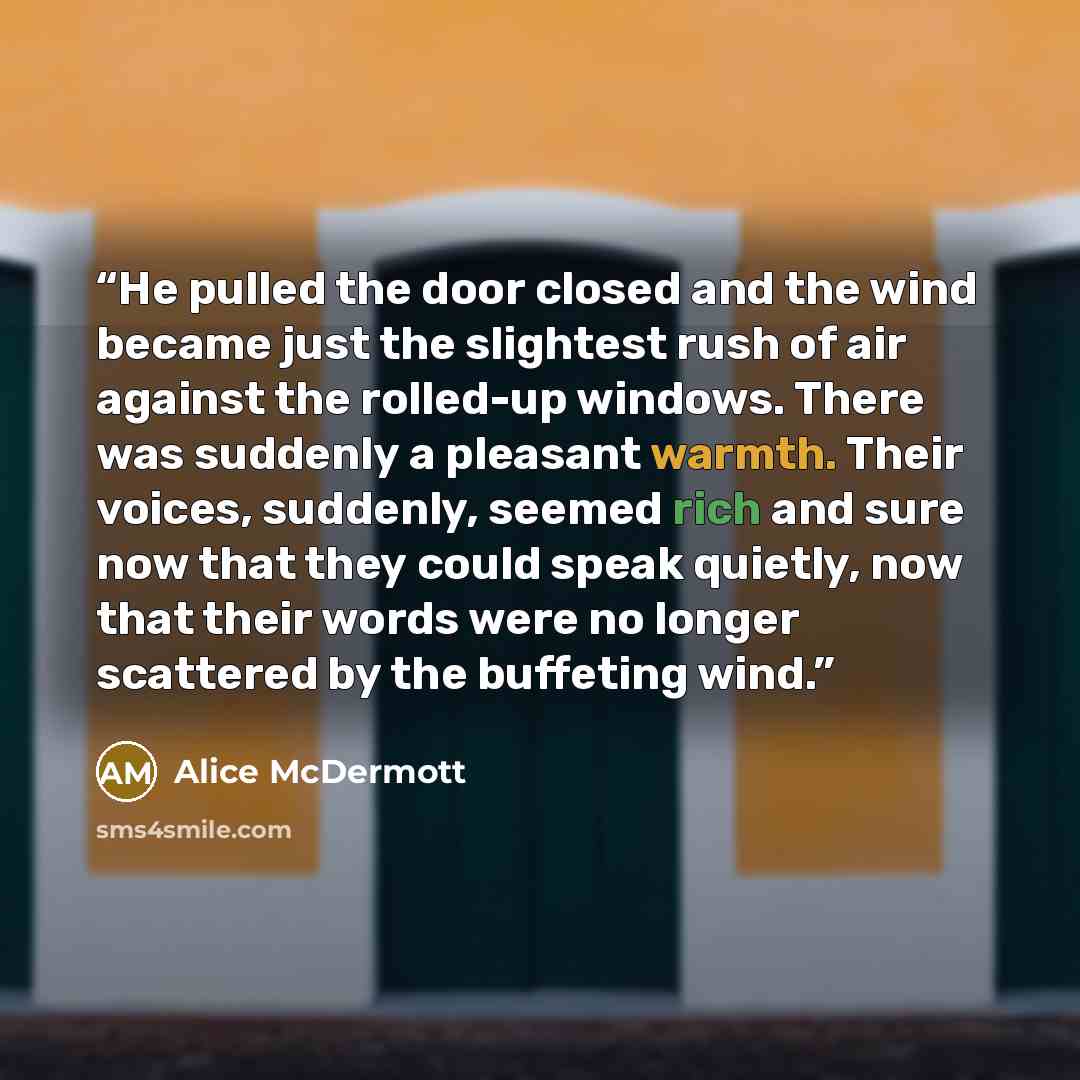 “He pulled the door closed and the wind became just the slightest rush of air against the rolled-up windows. There was suddenly a pleasant warmth. Their voices, suddenly, seemed rich and sure now that they could speak quietly, now that their words were no longer scattered by the buffeting wind.” quote by Alice McDermott