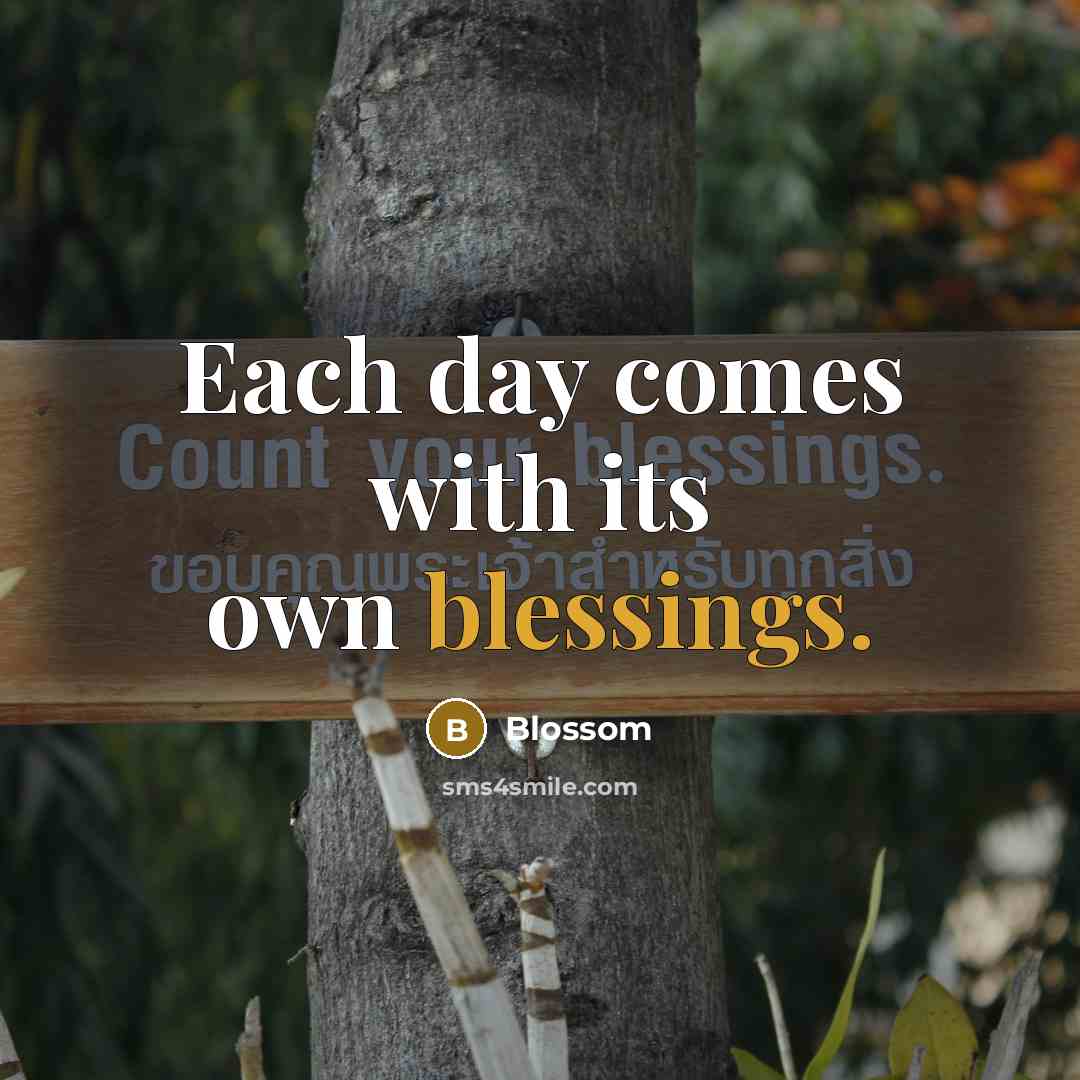 “Each day comes with its own blessings.” quote by Blossom
