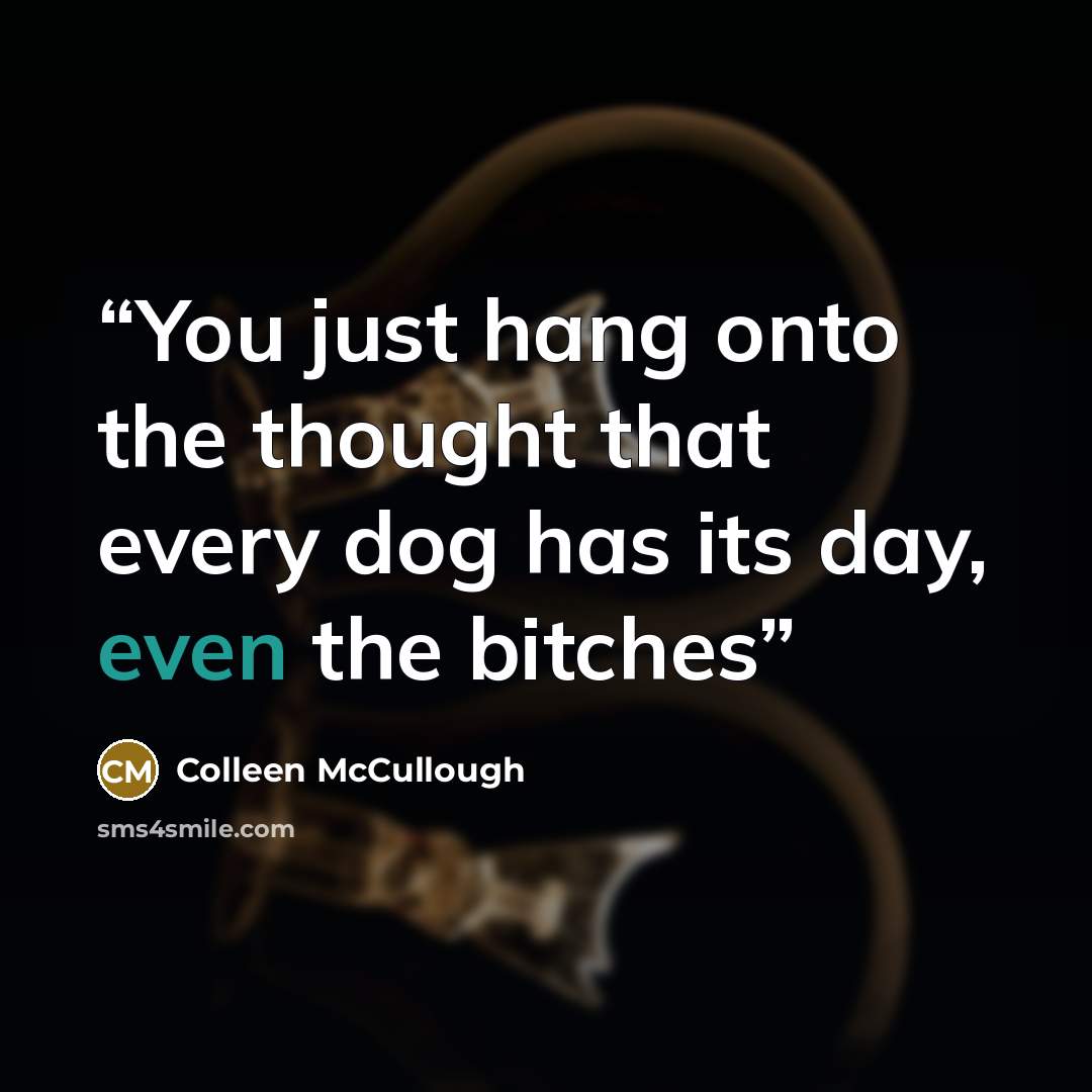 “You just hang onto the thought that every dog has its day, even the bitches” quote by Colleen McCullough