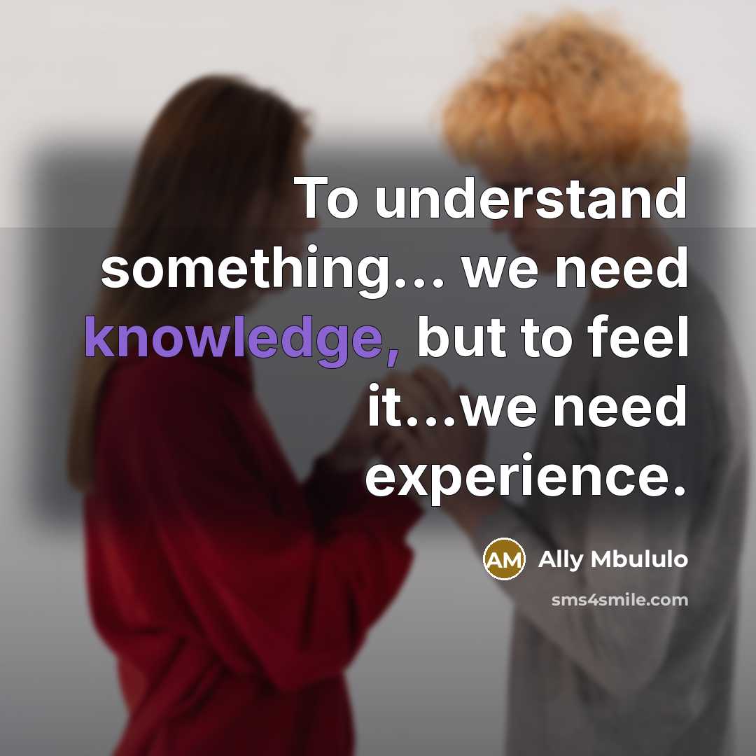 “To understand something... we need knowledge, but to feel it...we need experience.” quote by Ally Mbululo