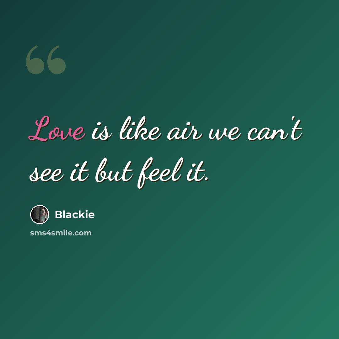 “Love is like air we can't see it but feel it.” quote by Blackie