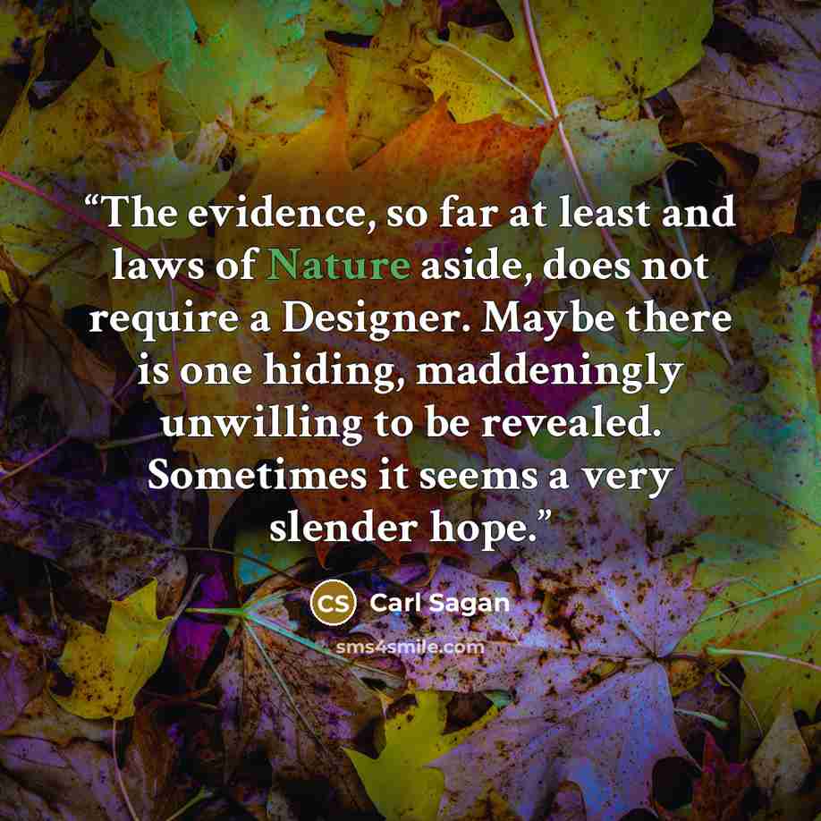 “The evidence, so far at least and laws of Nature aside, does not require a Designer. Maybe there is one hiding, maddeningly unwilling to be revealed. Sometimes it seems a very slender hope.” quote by Carl Sagan