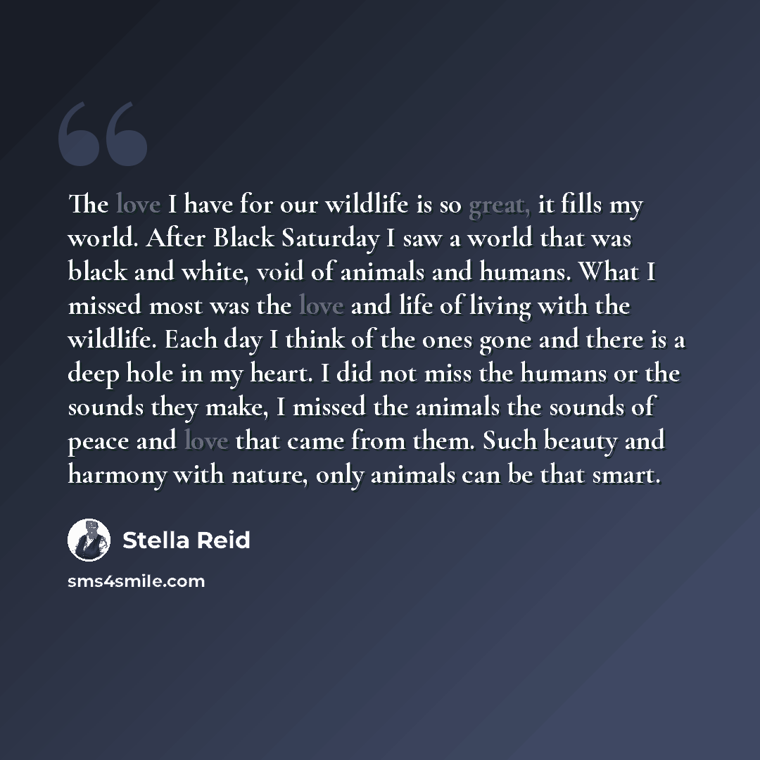 “The love I have for our wildlife is so great, it fills my world. After Black Saturday I saw a world that was black and white, void of animals and humans. What I missed most was the love and life of living with the wildlife. Each day I think of the ones gone and there is a deep hole in my heart. I…” quote by Stella Reid