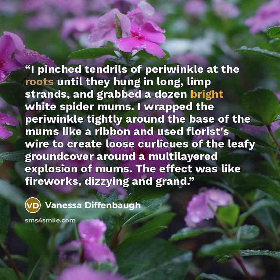 “I pinched tendrils of periwinkle at the roots until they hung in long, limp strands, and grabbed a dozen bright white spider mums. I wrapped the periwinkle tightly around the base of the mums like a ribbon and used florist's wire to create loose curlicues of the leafy groundcover around a…” quote by Vanessa Diffenbaugh