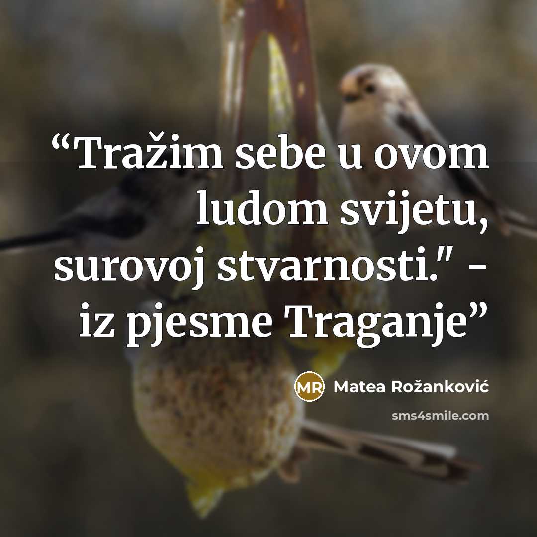 “Tražim sebe u ovom ludom svijetu, surovoj stvarnosti." - iz pjesme Traganje” quote by Matea Rožanković
