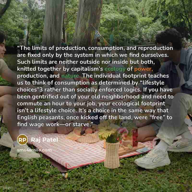“The limits of production, consumption, and reproduction are fixed only by the system in which we find ourselves. Such limits are neither outside nor inside but both, knitted together by capitalism’s ecology of power, production, and nature. The individual footprint teaches us to think of…” quote by Raj Patel