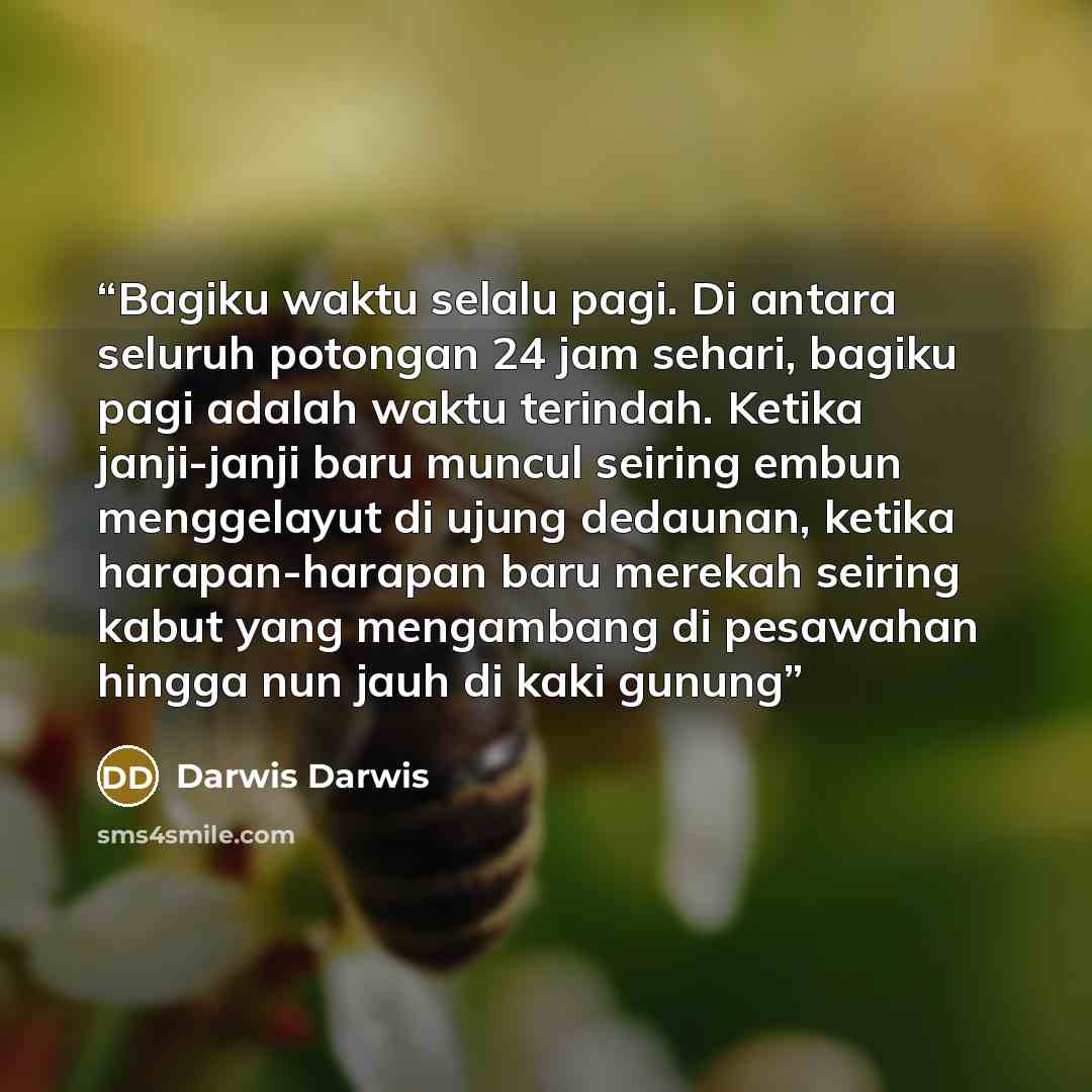 “Bagiku waktu selalu pagi. Di antara seluruh potongan 24 jam sehari, bagiku pagi adalah waktu terindah. Ketika janji-janji baru muncul seiring embun menggelayut di ujung dedaunan, ketika harapan-harapan baru merekah seiring kabut yang mengambang di pesawahan hingga nun jauh di kaki gunung” quote by Darwis Darwis