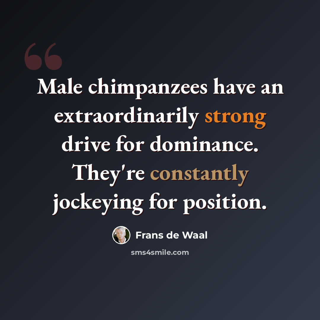 “Male chimpanzees have an extraordinarily strong drive for dominance. They're constantly jockeying for position.” quote by Frans de Waal