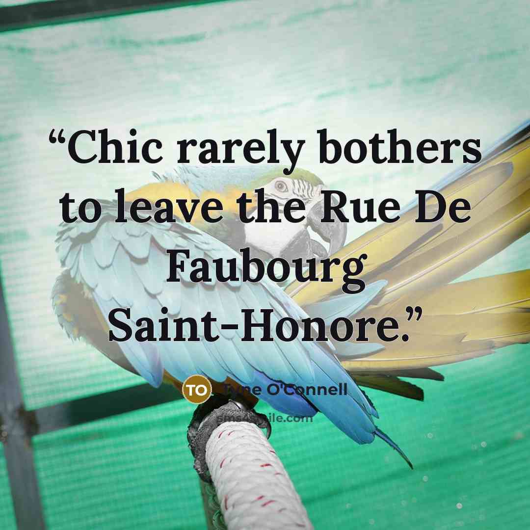 “Chic rarely bothers to leave the Rue De Faubourg Saint-Honore.” quote by Tyne O'Connell
