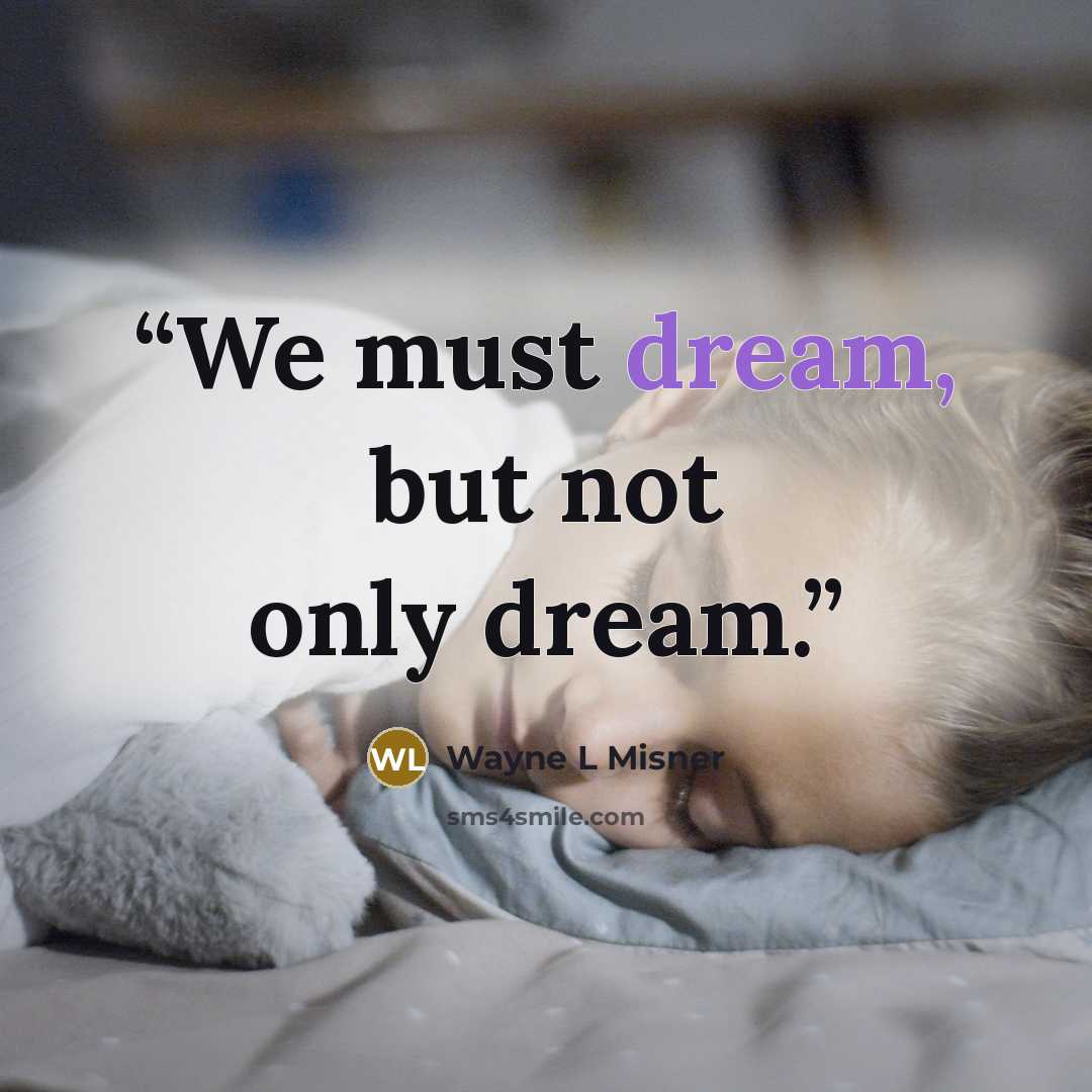 “We must dream, but not only dream.” quote by Wayne L Misner