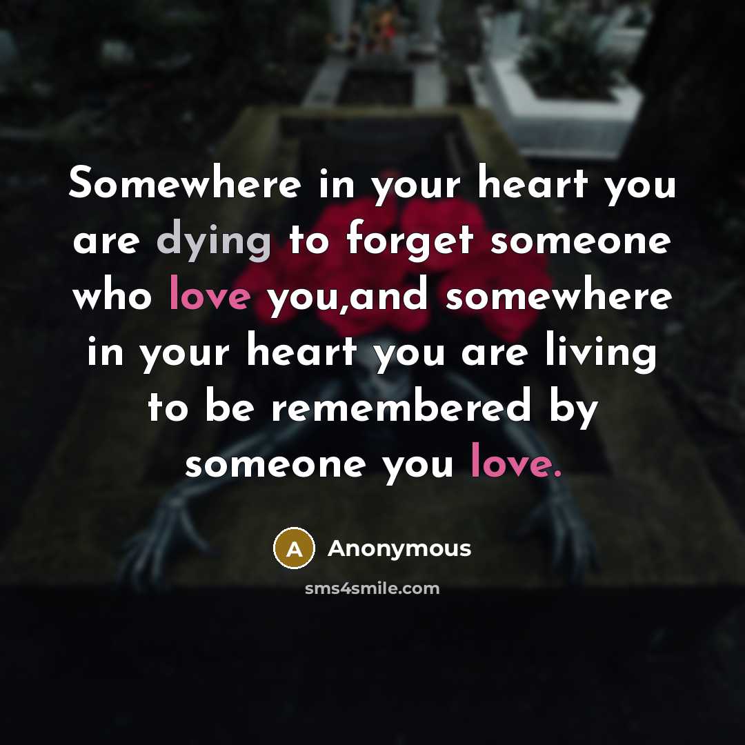 “Somewhere in your heart you are dying to forget someone who love you,and somewhere in your heart you are living to be remembered by someone you love.” quote by Anonymous