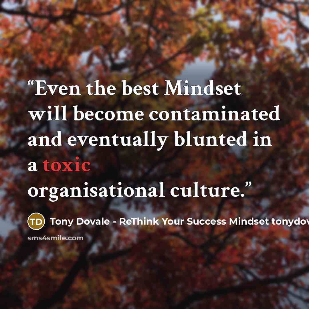 “Even the best Mindset will become contaminated and eventually blunted in a toxic organisational culture.” quote by Tony Dovale - ReThink Your Success Mindset tonydovalespeaks.com
