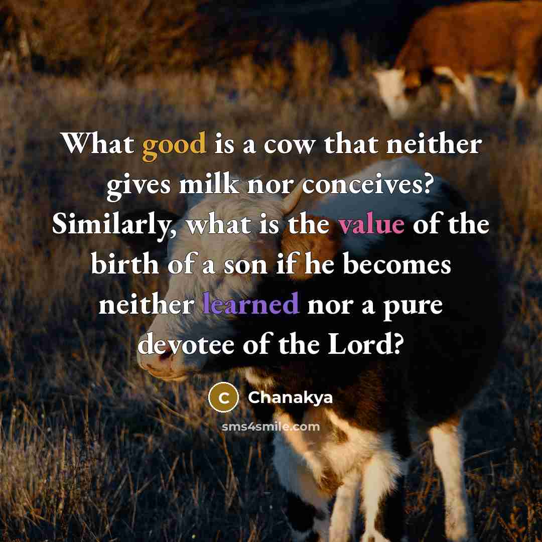 “What good is a cow that neither gives milk nor conceives? Similarly, what is the value of the birth of a son if he becomes neither learned nor a pure devotee of the Lord?” quote by Chanakya