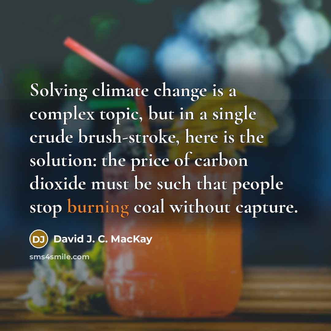 “Solving climate change is a complex topic, but in a single crude brush-stroke, here is the solution: the price of carbon dioxide must be such that people stop burning coal without capture.” quote by David J. C. MacKay