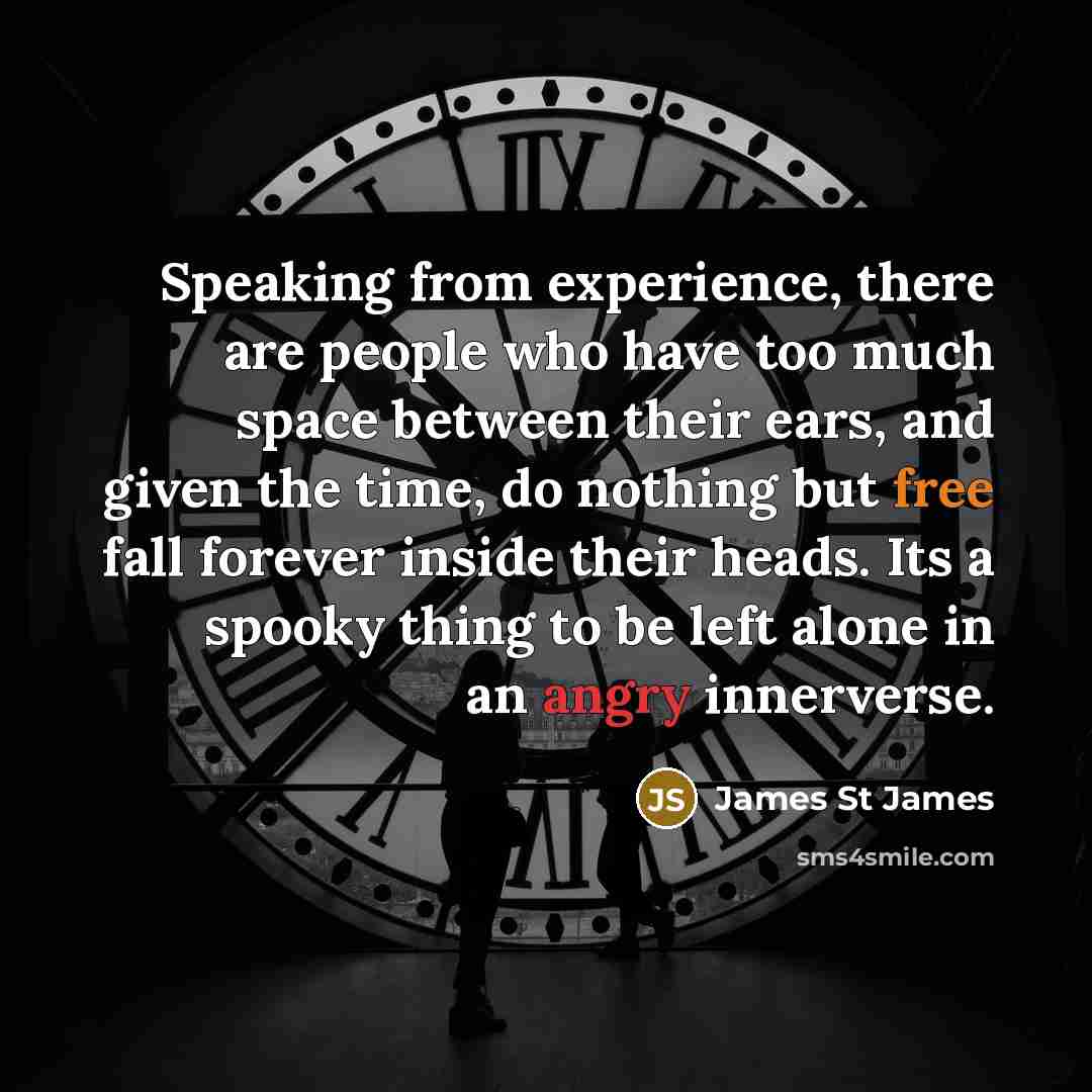 “Speaking from experience, there are people who have too much space between their ears, and given the time, do nothing but free fall forever inside their heads. Its a spooky thing to be left alone in an angry innerverse.” quote by James St James