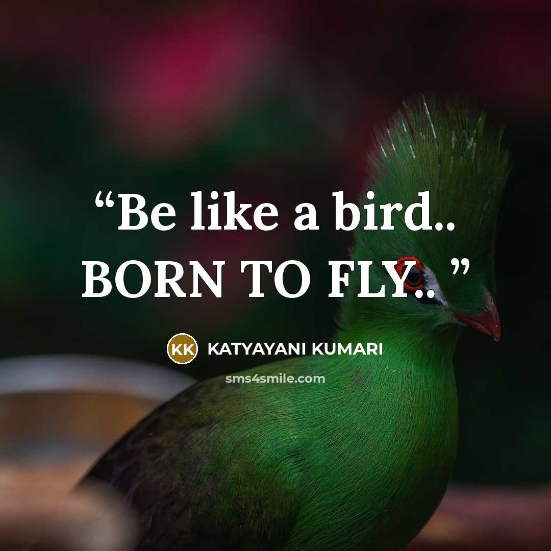 “Be like a bird.. BORN TO FLY..” quote by KATYAYANI KUMARI