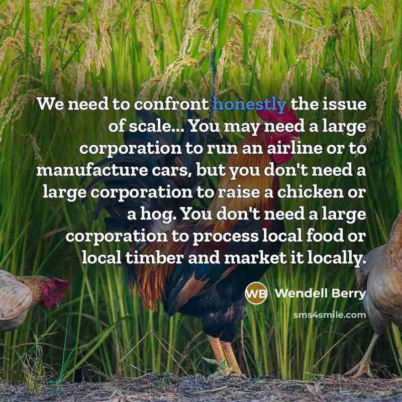 “We need to confront honestly the issue of scale... You may need a large corporation to run an airline or to manufacture cars, but you don't need a large corporation to raise a chicken or a hog. You don't need a large corporation to process local food or local timber and market it locally.” quote by Wendell Berry