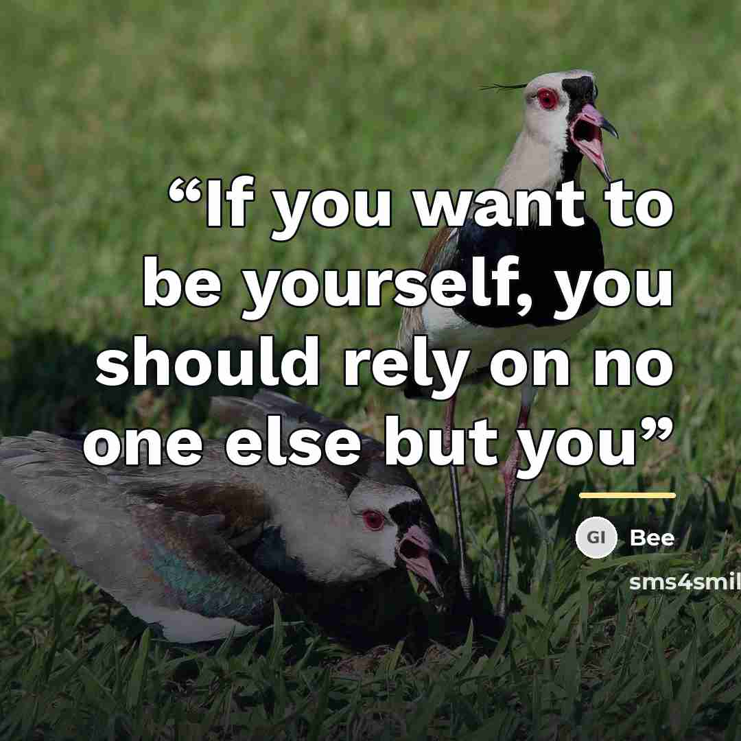 “If you want to be yourself, you should rely on no one else but you” quote by Bee