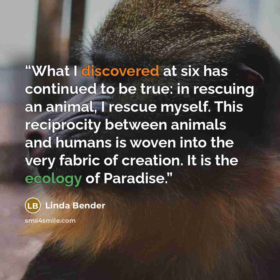“What I discovered at six has continued to be true: in rescuing an animal, I rescue myself. This reciprocity between animals and humans is woven into the very fabric of creation. It is the ecology of Paradise.” quote by Linda Bender