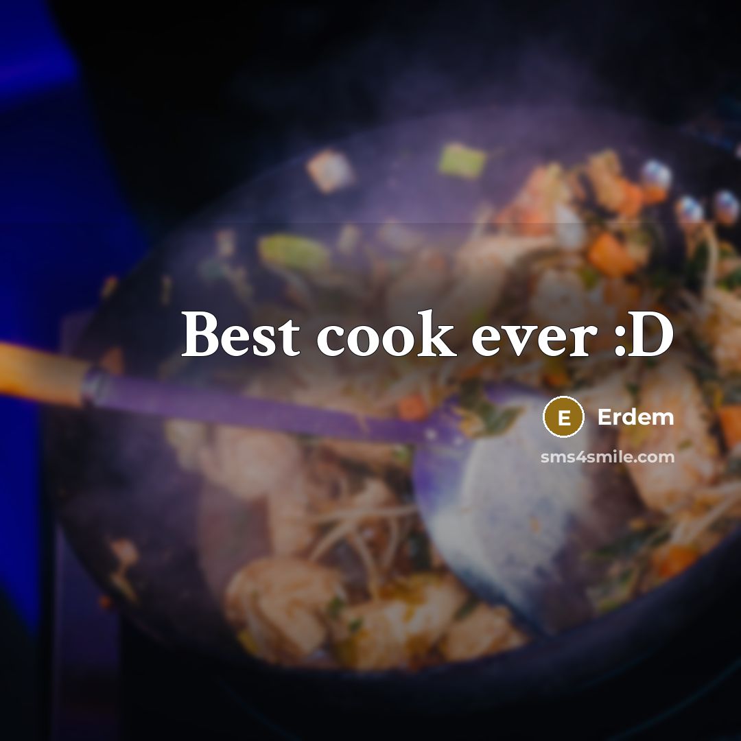 “Best cook ever :D” quote by Erdem