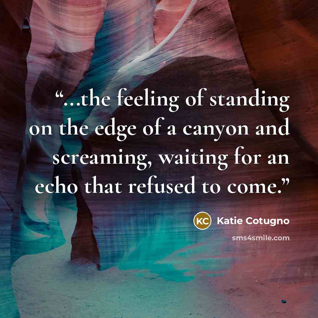 “...the feeling of standing on the edge of a canyon and screaming, waiting for an echo that refused to come.” quote by Katie Cotugno