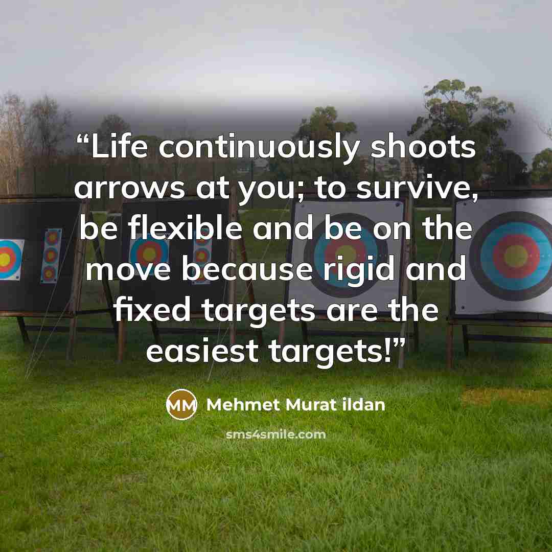 “Life continuously shoots arrows at you; to survive, be flexible and be on the move because rigid and fixed targets are the easiest targets!” quote by Mehmet Murat ildan