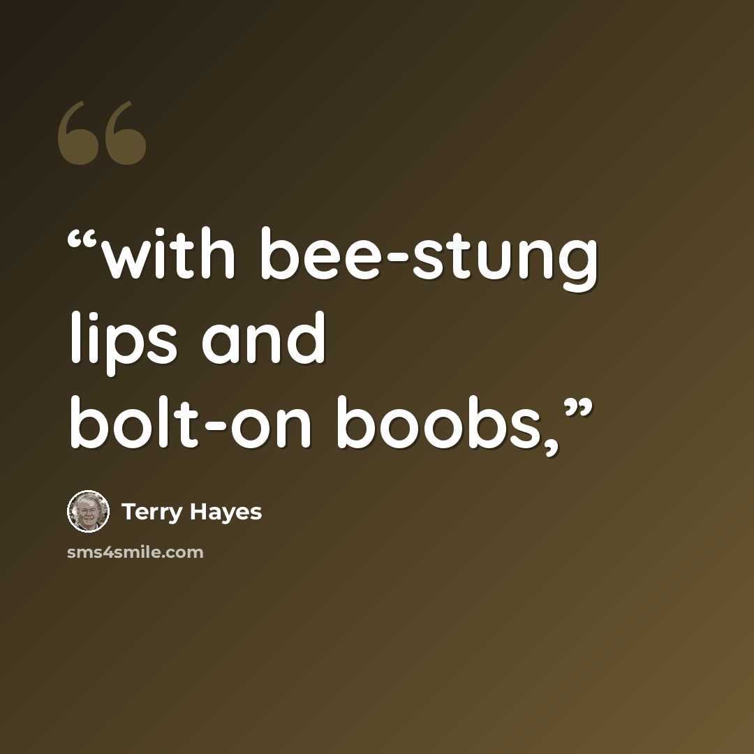 “with bee-stung lips and bolt-on boobs,” quote by Terry Hayes