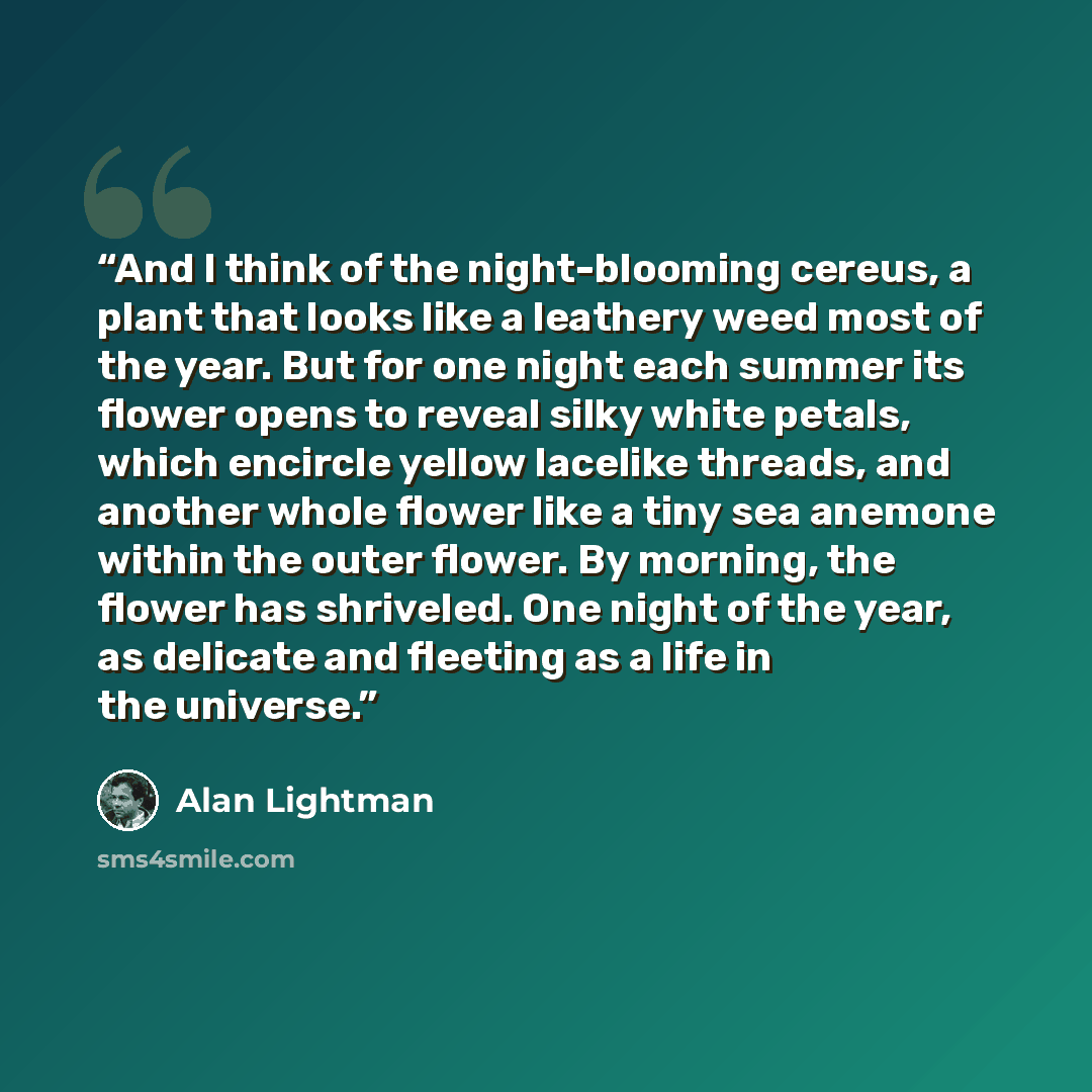 “And I think of the night-blooming cereus, a plant that looks like a leathery weed most of the year. But for one night each summer its flower opens to reveal silky white petals, which encircle yellow lacelike threads, and another whole flower like a tiny sea anemone within the outer flower. By…” quote by Alan Lightman