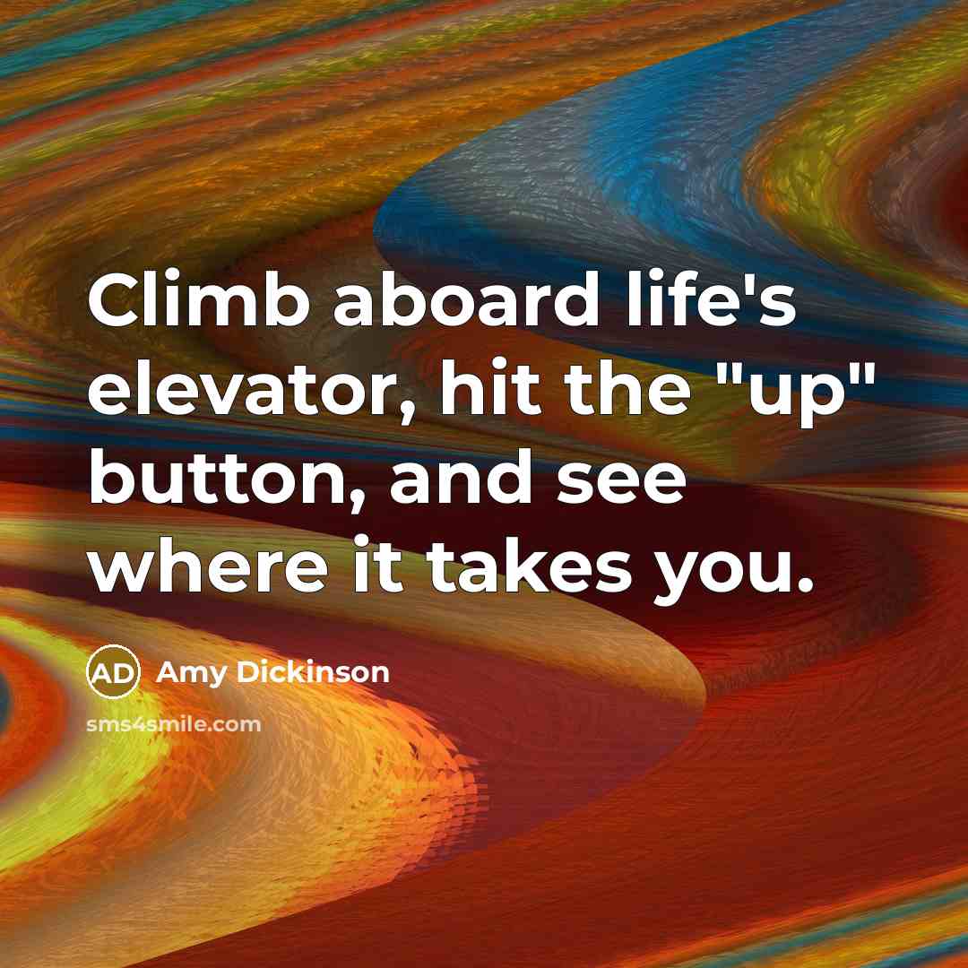 “Climb aboard life's elevator, hit the "up" button, and see where it takes you.” quote by Amy Dickinson