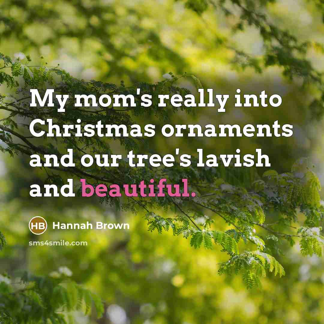 “My mom's really into Christmas ornaments and our tree's lavish and beautiful.” quote by Hannah Brown