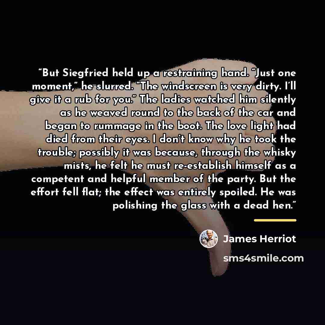 “But Siegfried held up a restraining hand. “Just one moment,” he slurred. “The windscreen is very dirty. I’ll give it a rub for you.” The ladies watched him silently as he weaved round to the back of the car and began to rummage in the boot. The love light had died from their eyes. I don’t know why…” quote by James Herriot