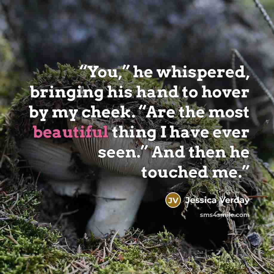 “You,” he whispered, bringing his hand to hover by my cheek. “Are the most beautiful thing I have ever seen.” And then he touched me.” quote by Jessica Verday