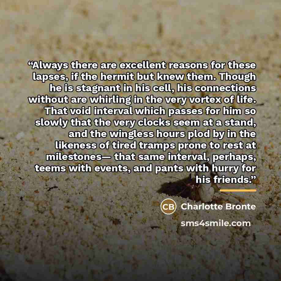 “Always there are excellent reasons for these lapses, if the hermit but knew them. Though he is stagnant in his cell, his connections without are whirling in the very vortex of life. That void interval which passes for him so slowly that the very clocks seem at a stand, and the wingless hours plod…” quote by Charlotte Brontë