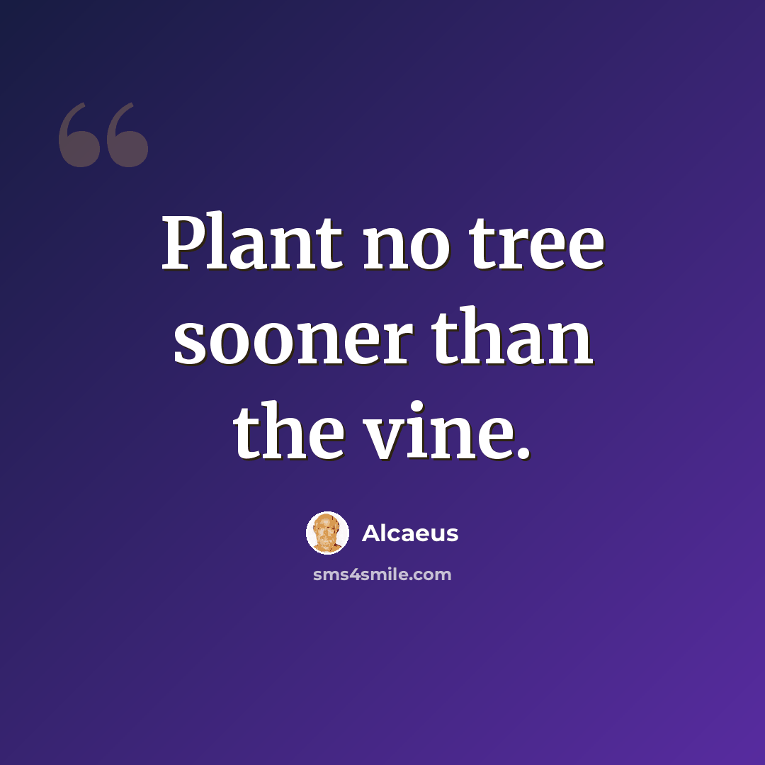 “Plant no tree sooner than the vine.” quote by Alcaeus