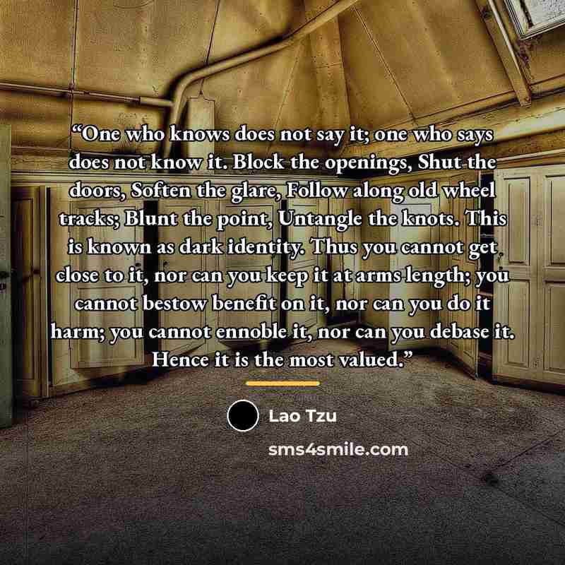 “One who knows does not say it; one who says does not know it. Block the openings, Shut the doors, Soften the glare, Follow along old wheel tracks; Blunt the point, Untangle the knots. This is known as dark identity. Thus you cannot get close to it, nor can you keep it at arms length; you cannot…” quote by Lao Tzu